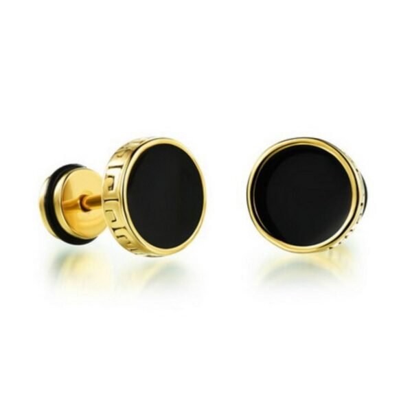 Gold Steel Black Onyx Screw Earring